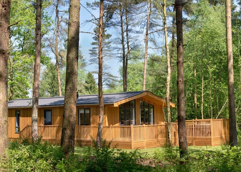 The Coppice 3 Spa (Pet) - Darwin Forest, Matlock