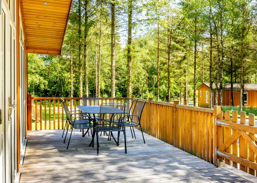 Spinney 3 Spa (Pet) - Darwin Forest, Matlock