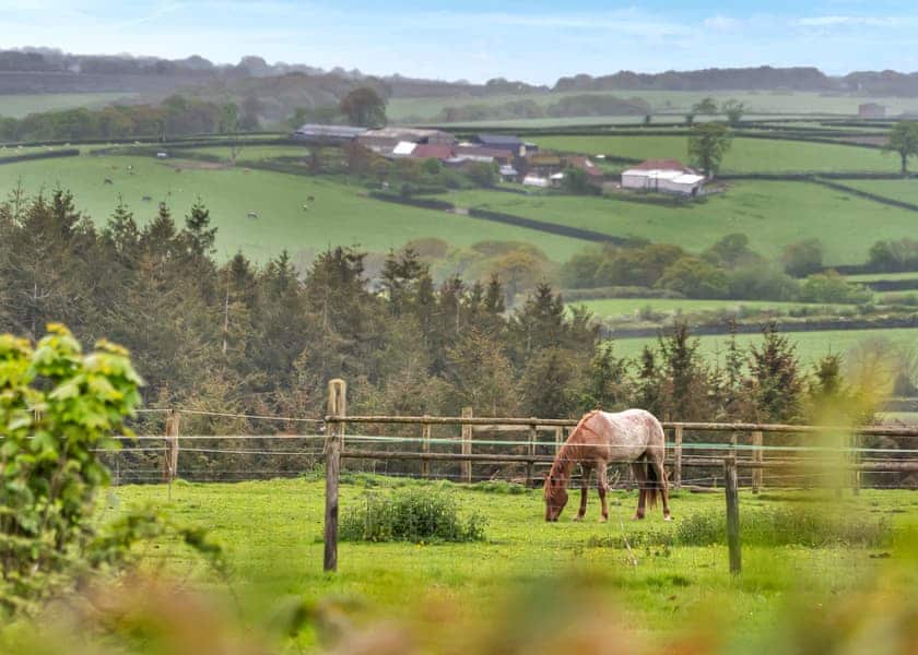 Dartmoor View, Okehampton