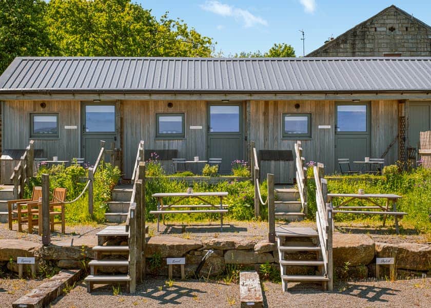 Linnet - Daisy Bank Camp, Hebden Bridge