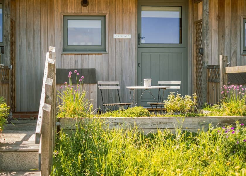 Linnet - Daisy Bank Camp, Hebden Bridge