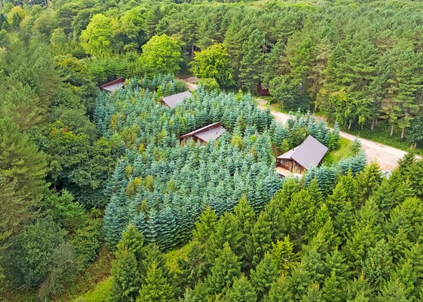 Delamere Forest Lodges, Frodsham