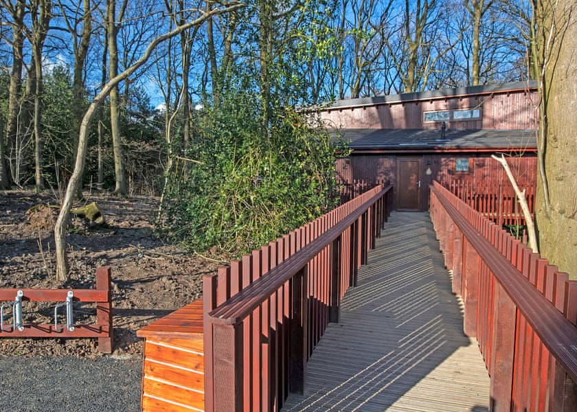 Silver Birch 2 WF Pet - Delamere Forest Lodges, Frodsham