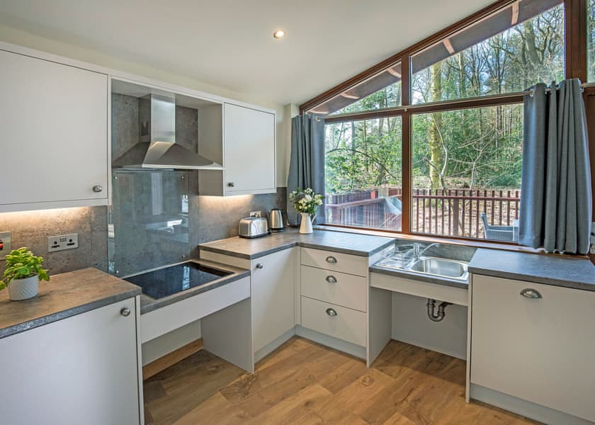 Silver Birch 2 WF Pet - Delamere Forest Lodges, Frodsham