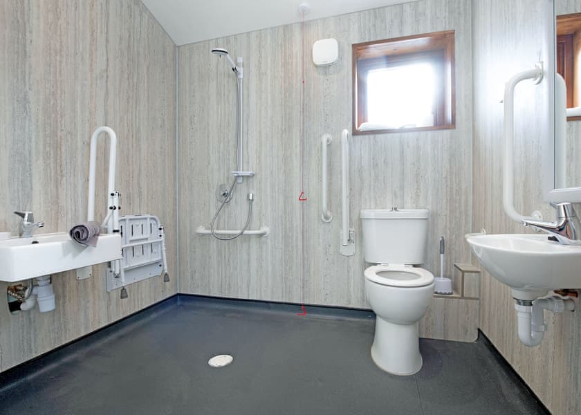 Silver Birch 2 WF Pet - Delamere Forest Lodges, Frodsham