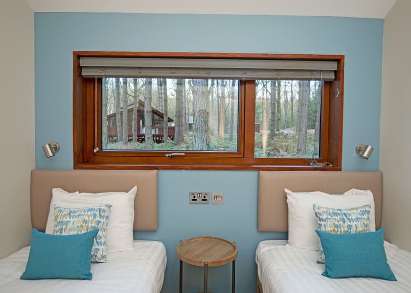 Silver Birch 2 - Delamere Forest Lodges, Frodsham