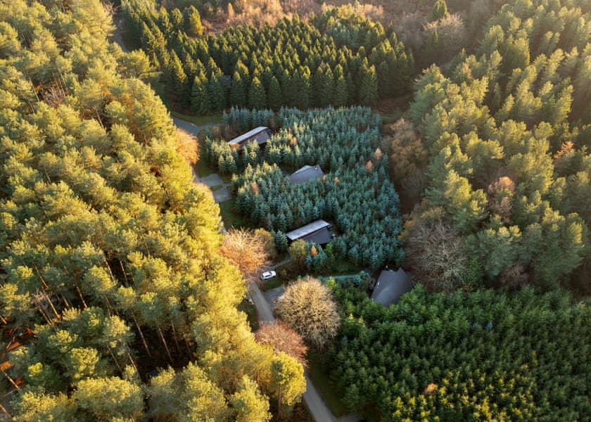 Silver Birch 2 Secluded View Pet - Delamere Forest Lodges, Frodsham