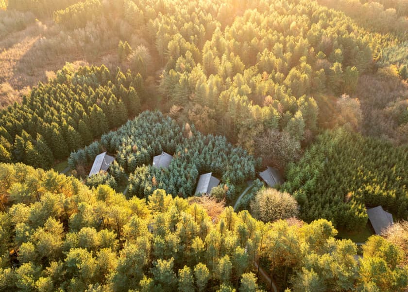 Silver Birch 2 Secluded View Pet - Delamere Forest Lodges, Frodsham