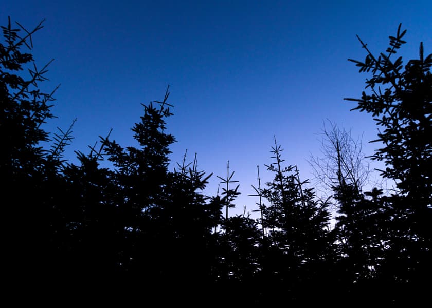 Silver Birch 2 Secluded View Pet - Delamere Forest Lodges, Frodsham