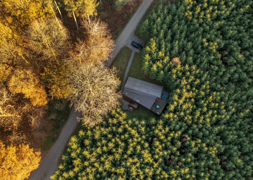 Golden Oak 2 Secluded View - Delamere Forest Lodges, Frodsham