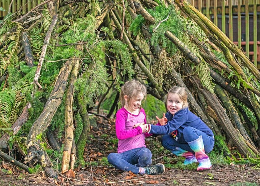 Deerpark Forest, Liskeard