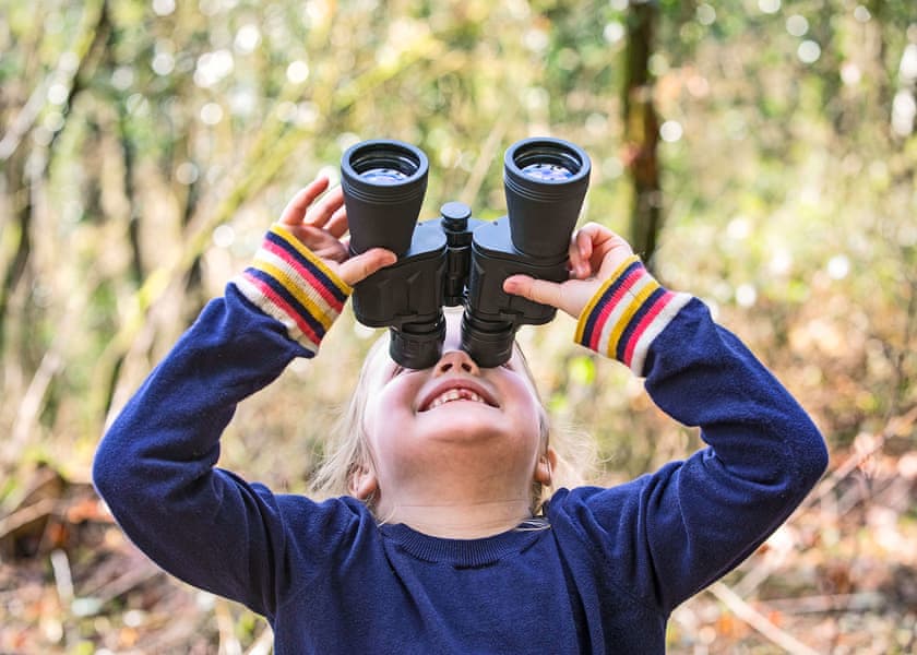 Deerpark Forest, Liskeard