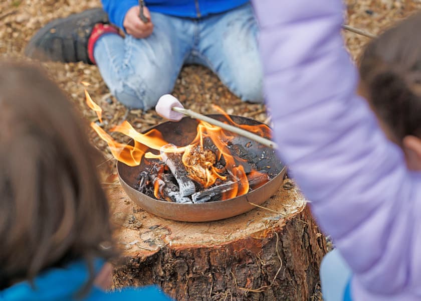 Deerpark Forest, Liskeard