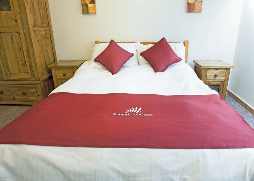 Classic Silver Birch 2 WF (Pet) - Deerpark Forest, Liskeard