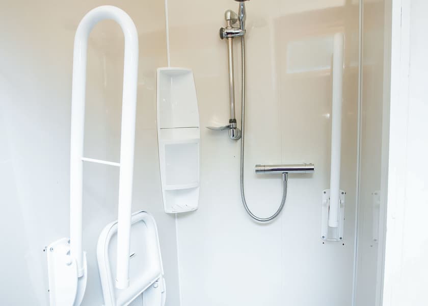 Classic Silver Birch 2 WF (Pet) - Deerpark Forest, Liskeard