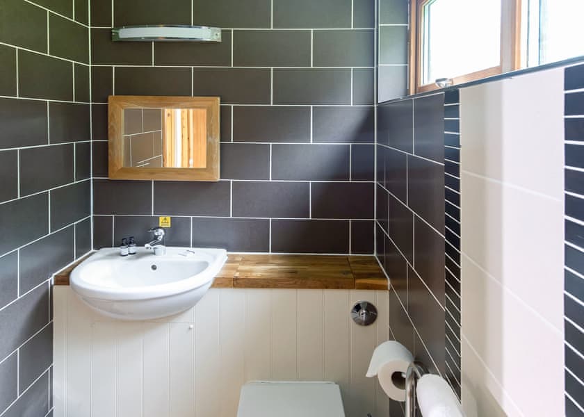 Classic Golden Oak Waterside 2 (Pet) - Deerpark Forest, Liskeard