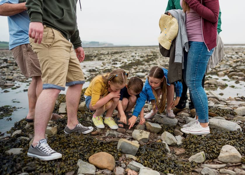 Doniford Bay Holiday Park, Watchet