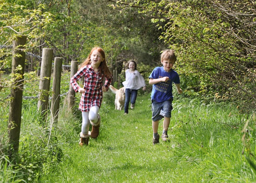 Woodovis Park, Tavistock