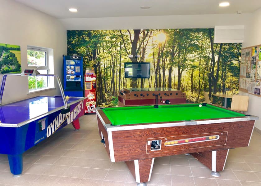 Woodovis Park, Tavistock