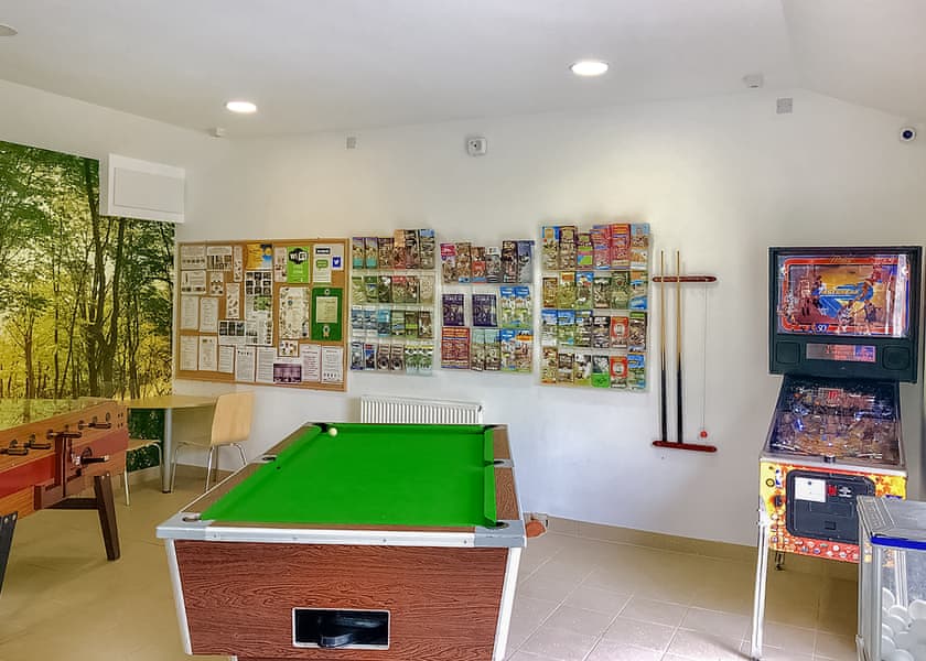 Woodovis Park, Tavistock