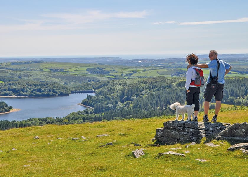 Dartmoor National Park | Woodovis Park, Tavistock