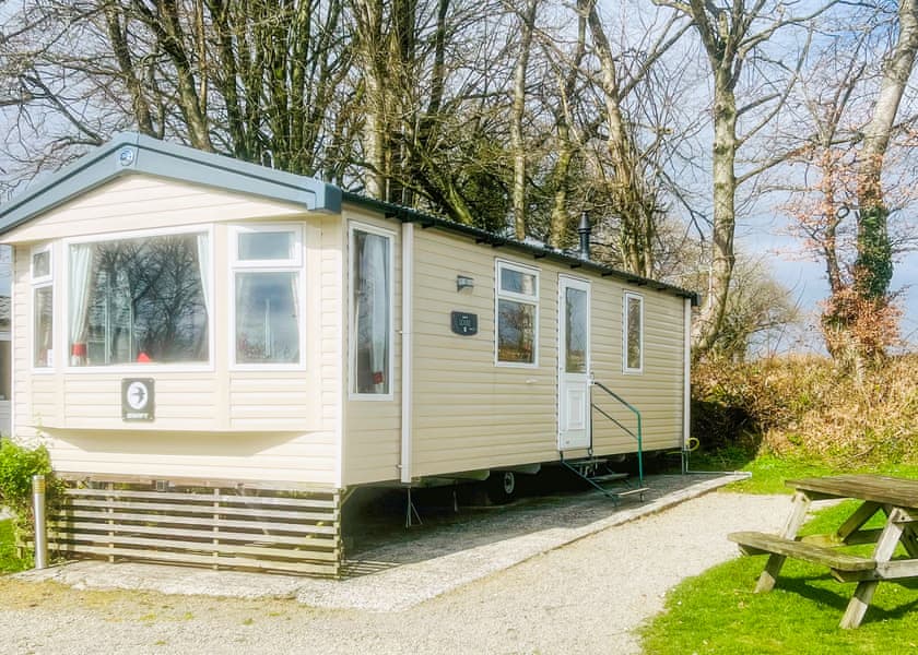 Super Finch T6/T8 - Woodovis Park, Tavistock