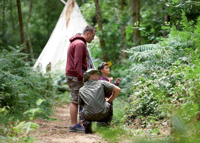 Wild Duck Holiday Park, Belton, Nr Great Yarmouth 