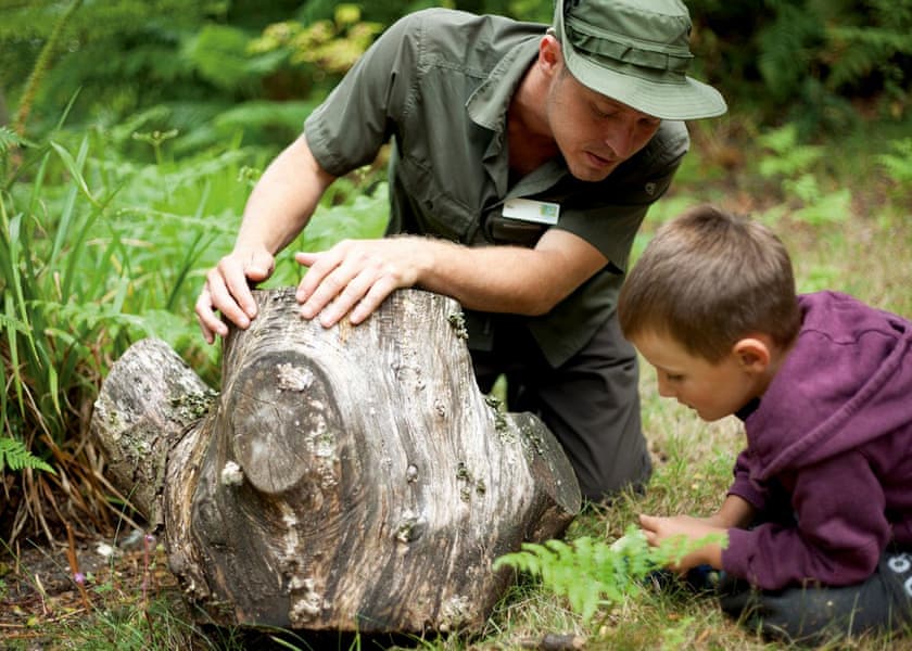 Wild Duck Holiday Park, Belton, Nr Great Yarmouth 