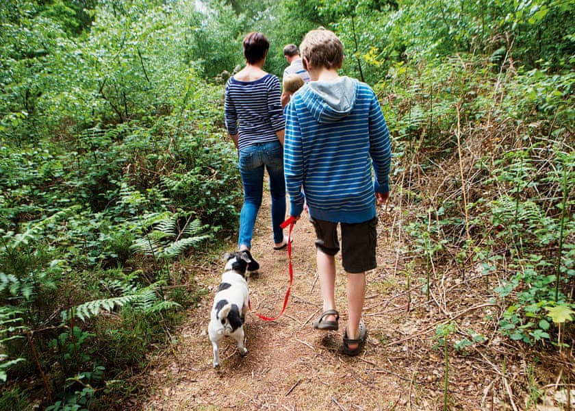 Wild Duck Holiday Park, Belton, Nr Great Yarmouth 