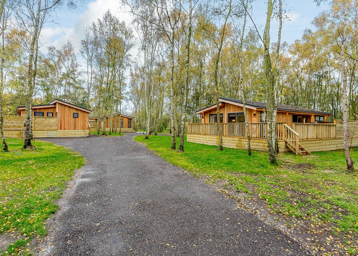 Elton Furze Retreats - Holiday lodge in East Anglia - Image 2