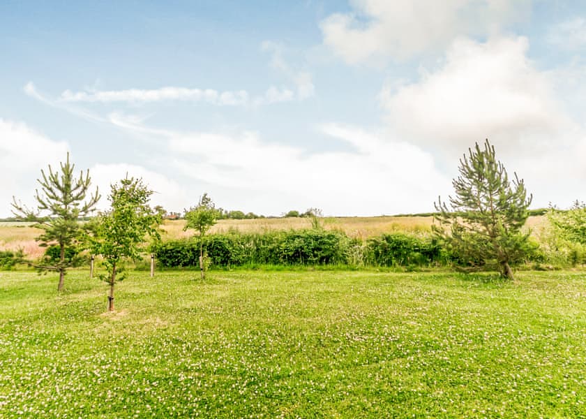 Tamworth (Pet) B - Fairview Lodges, Withernsea