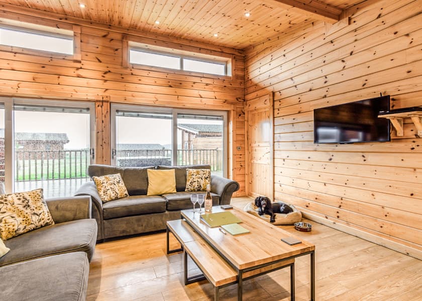 Saddleback (Pet) - Fairview Lodges, Withernsea