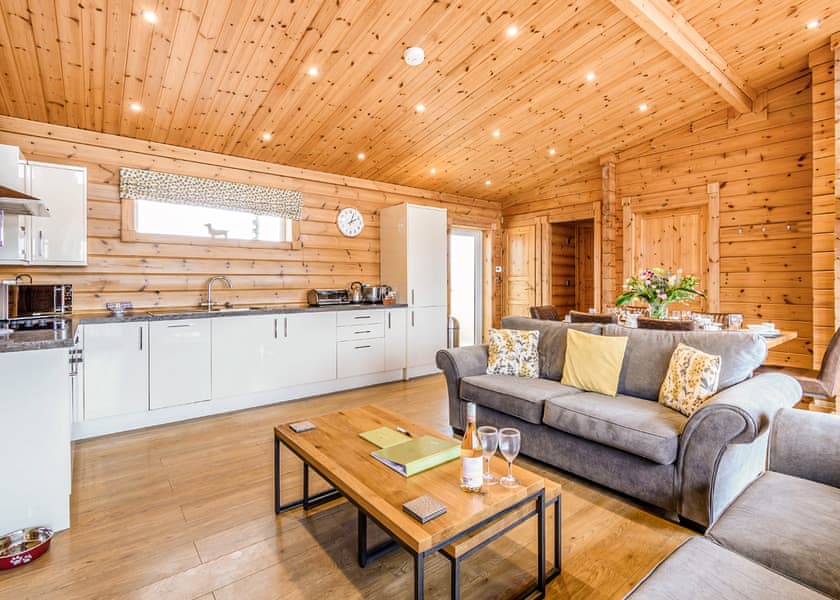 Saddleback (Pet) - Fairview Lodges, Withernsea