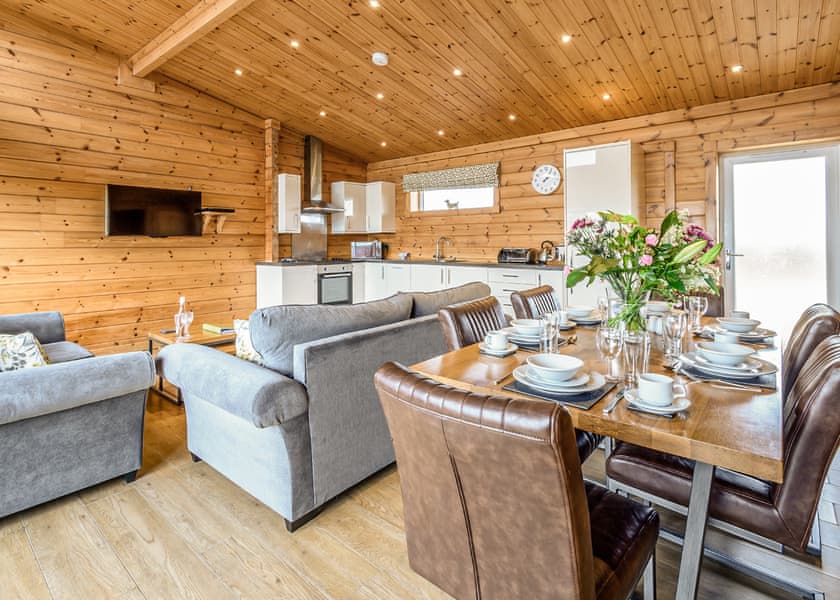 Saddleback (Pet) - Fairview Lodges, Withernsea