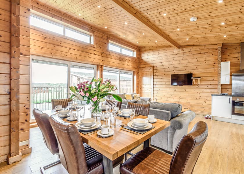 Saddleback (Pet) - Fairview Lodges, Withernsea