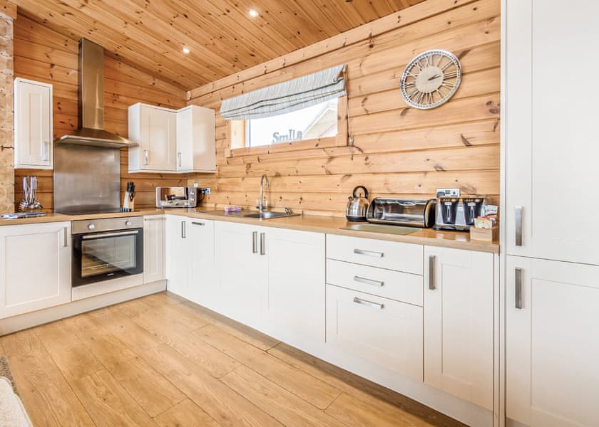 Saddleback (Pet) - Fairview Lodges, Withernsea