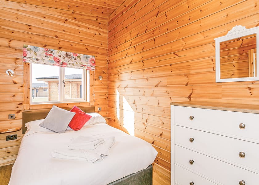 Typical Saddleback (Pet)