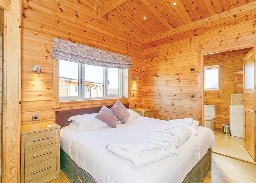 Typical Saddleback (Pet)