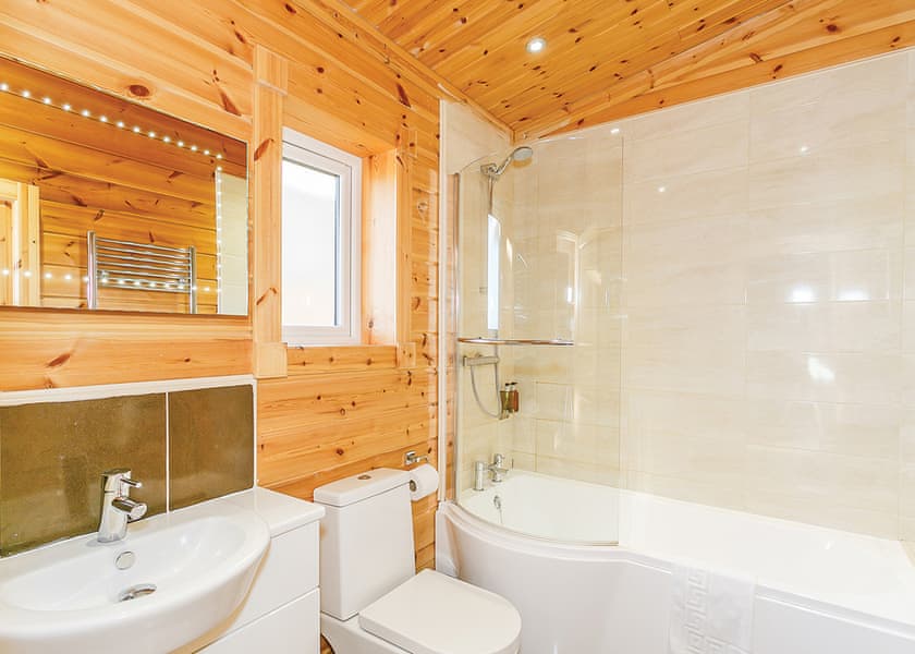 Typical Saddleback (Pet)