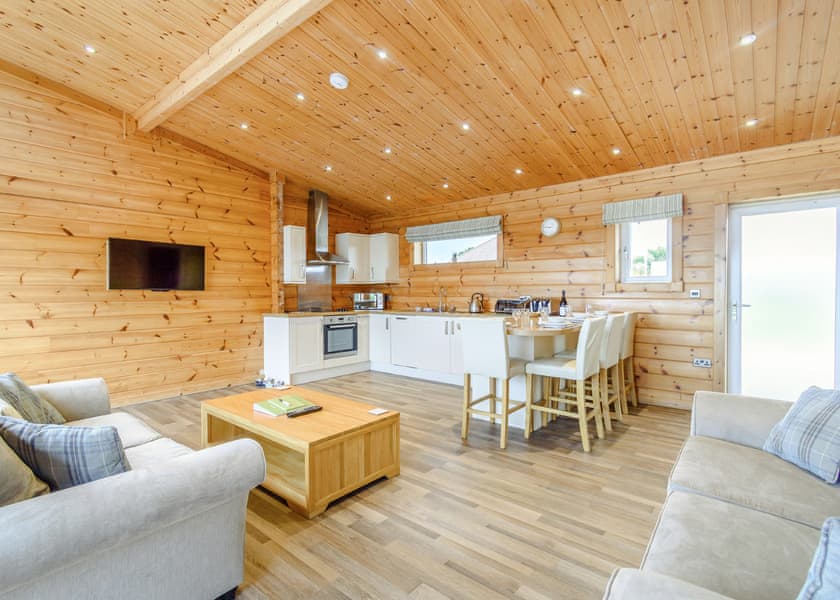 Pietrain Pet - Fairview Lodges, Withernsea