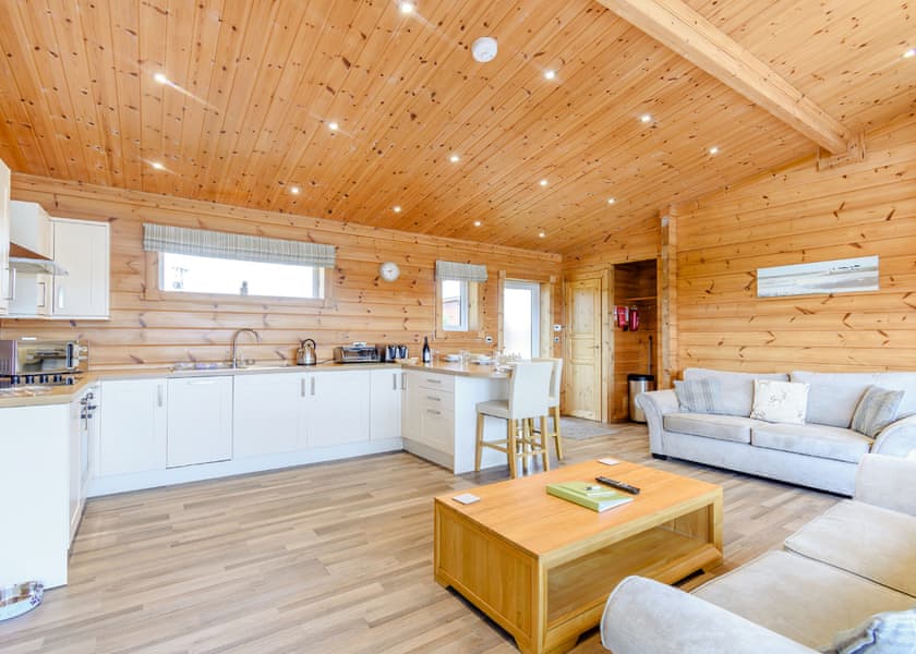 Pietrain Pet - Fairview Lodges, Withernsea