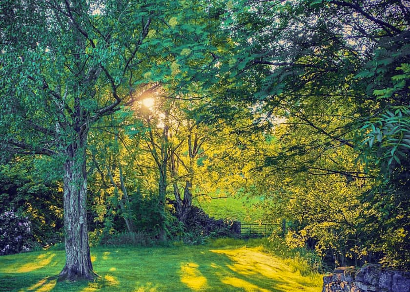 Solitude - Faweather Grange Lodges, Ilkley Moor