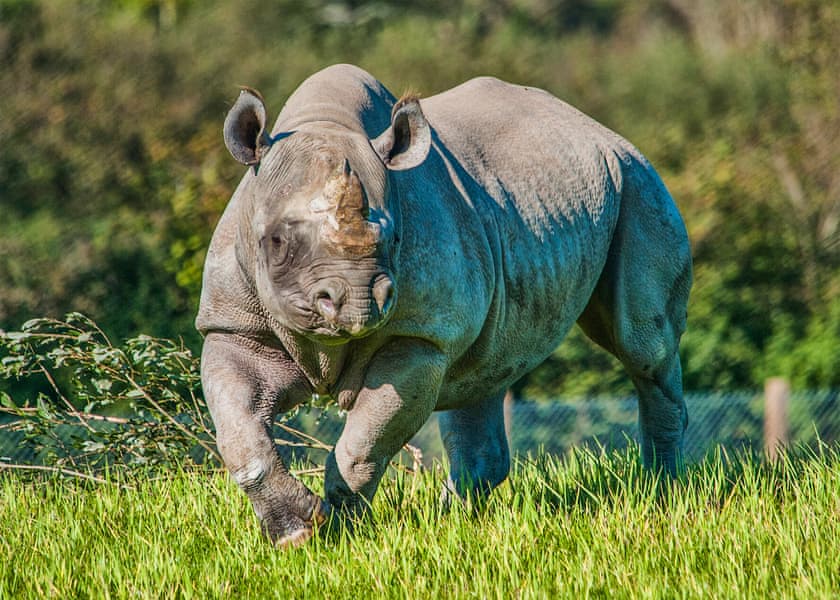 Folly Farm Holiday Park, Kilgetty
