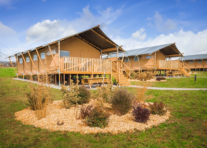 Twiga Tent | Folly Farm Holiday Park, Kilgetty