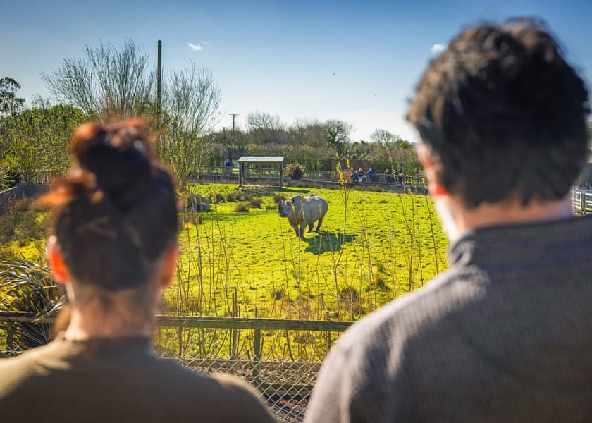 Kifaru View Lodge | Folly Farm Holiday Park, Kilgetty