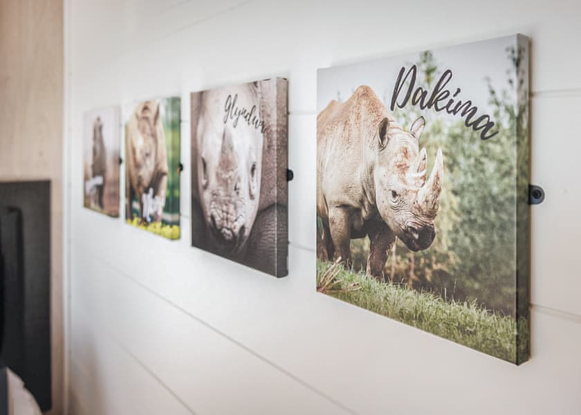 Kifaru Lodge - Folly Farm Holiday Park, Kilgetty