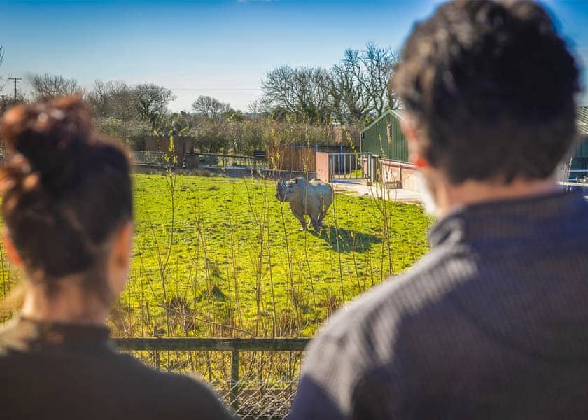 Kifaru View Lodge - Folly Farm Holiday Park, Kilgetty
