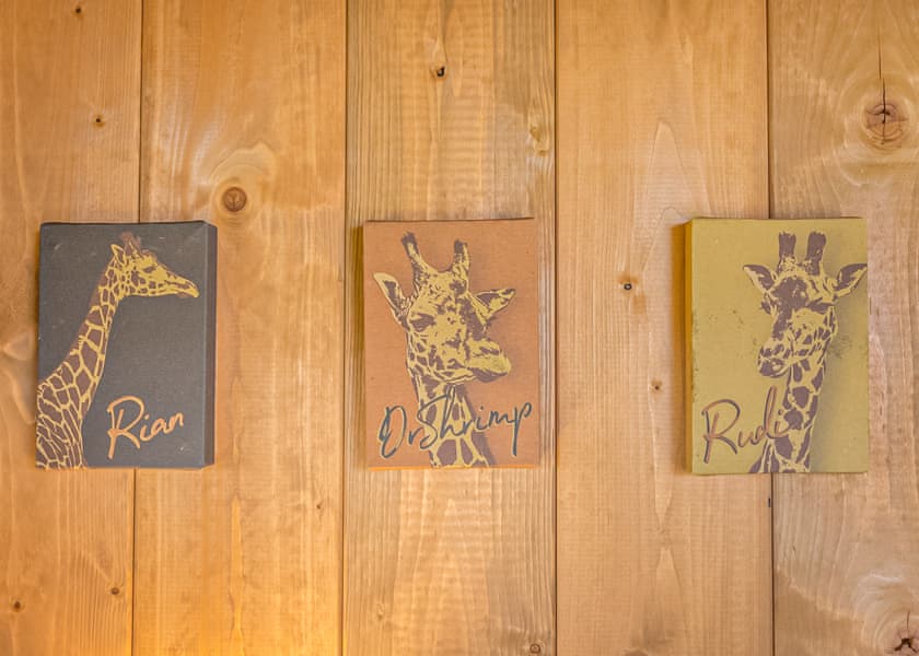 Twiga Tent - Folly Farm Holiday Park, Kilgetty