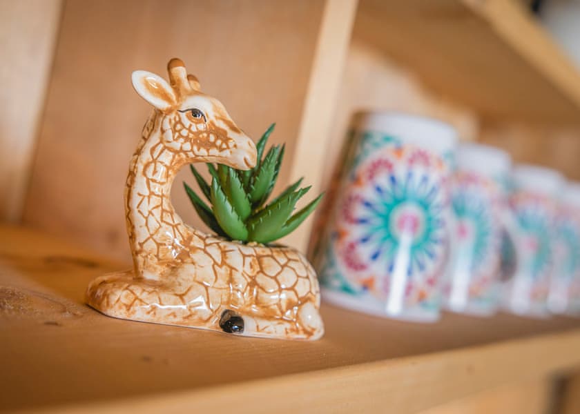 Twiga Tent - Folly Farm Holiday Park, Kilgetty