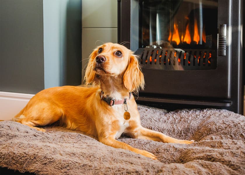 Fairground Pet Friendly Deluxe Lodge - Folly Farm Holiday Park, Kilgetty